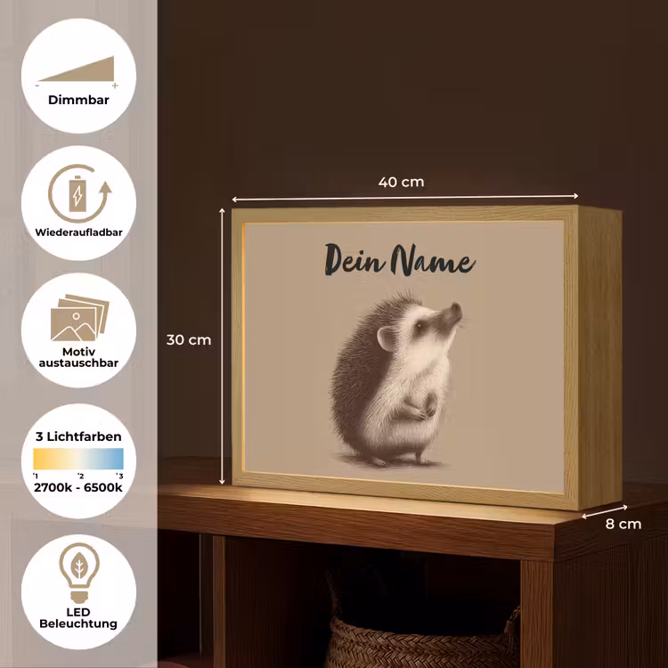 Egel - Snuitje - Bruin - Stekels Light Box met batterij (Wandlamp kind) middel -USP_websiteoverzichtDE