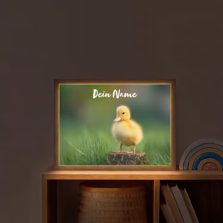Kuiken - Eend - Geel - Gras Light Box met batterij (Wandlamp kind) middel -sfeer1_kind
