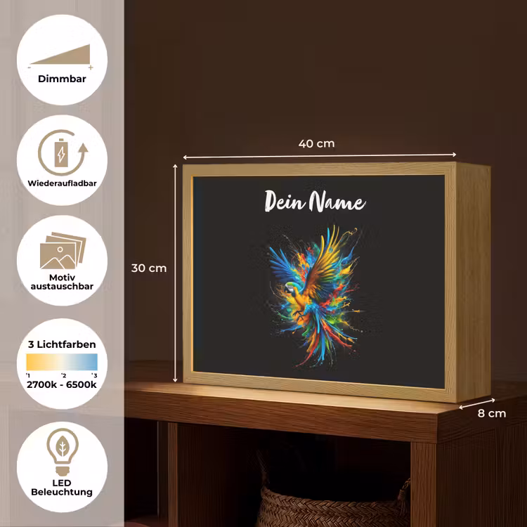 Papegaai - Vogel - Dier - Kleurrijk - Verf Light Box met batterij (Wandlamp kind) middel -USP_websiteoverzichtDE