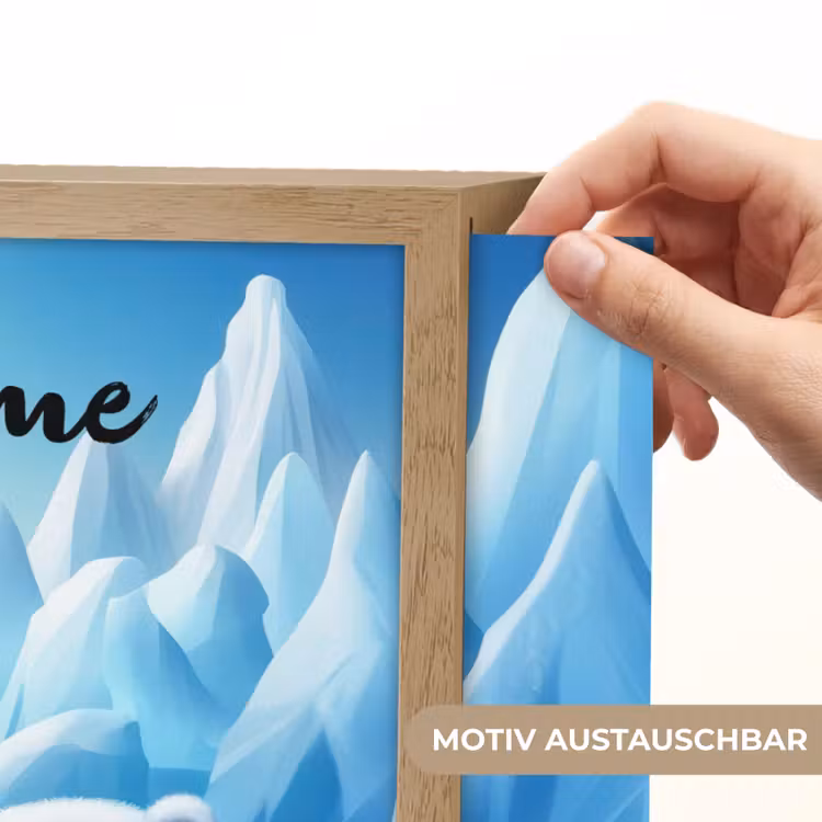 Pinguïn - IJsbeer - IJs - Sneeuw Light Box met batterij (Wandlamp kind) middel -USP_websiteprintDE
