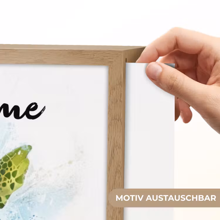 Schildpad - Water - Groen Light Box met batterij (Wandlamp kind) middel -USP_websiteprintDE