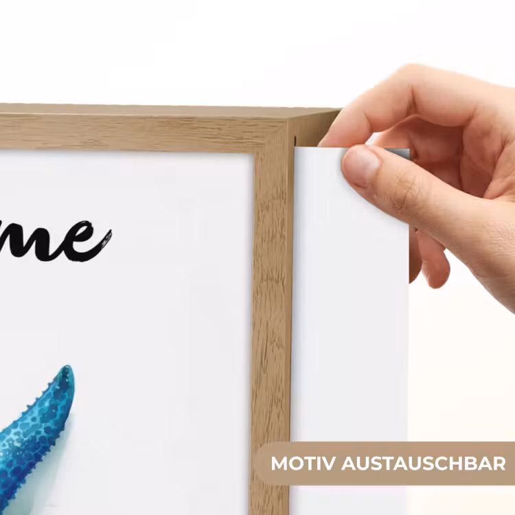 Zeester - Blauw - Spetters Light Box met batterij (Wandlamp kind) middel -USP_websiteprintDE
