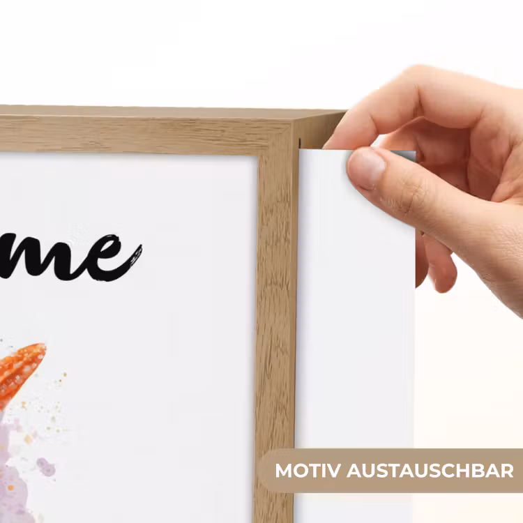 Zeester - Oranje - Paars Light Box met batterij (Wandlamp kind) middel -USP_websiteprintDE