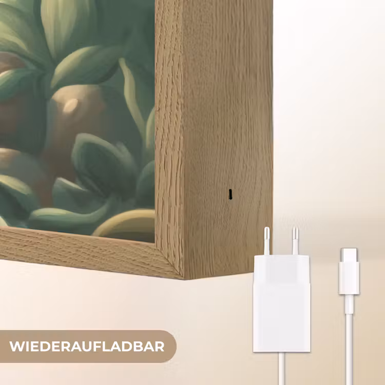 Zebra - Aapje - Waterval - Rotsen Light Box met batterij (Wandlamp kind) middel -USP_websiteoplaadbaarDE