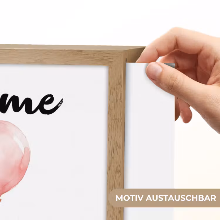 Zebra - Baby - Dieren - Roze ballon Light Box met batterij (Wandlamp kind) middel -USP_websiteprintDE