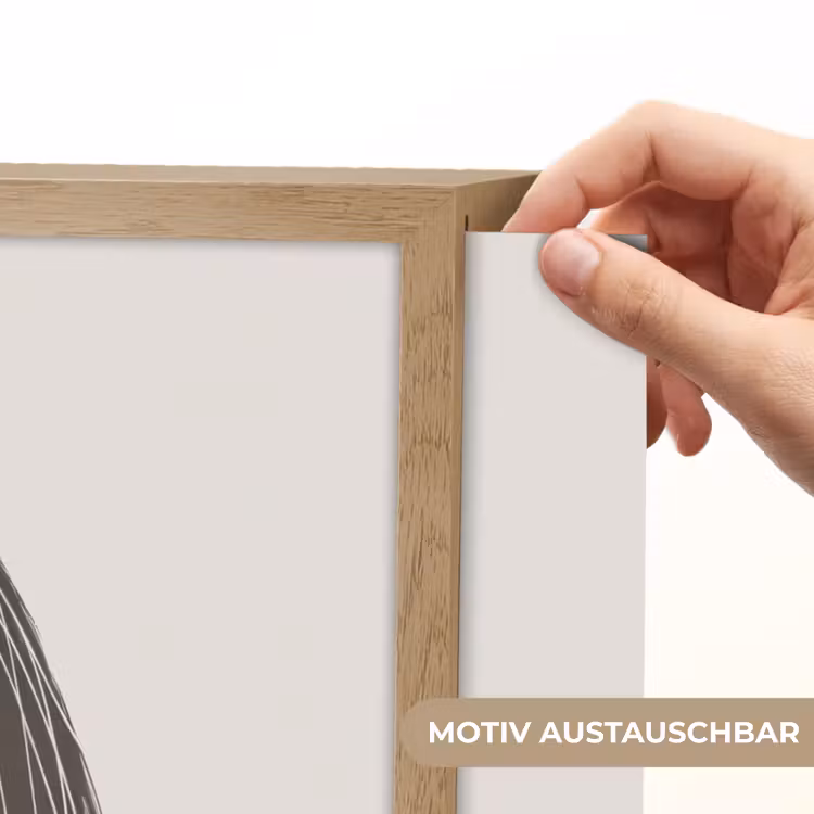 Paard - Dier - Pastel kleuren - Paarden Light Box met batterij (Wandlamp kind) middel -USP_websiteprintDE