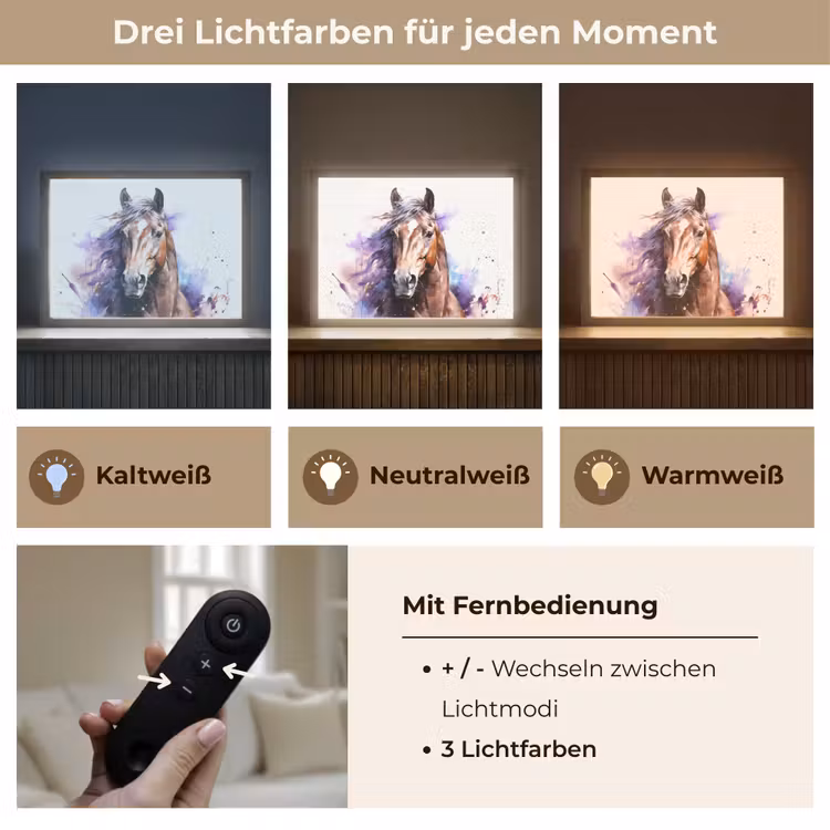 Paard - Dieren - Meisjes - Paars - Bruin Light Box met batterij (Wandlamp kind) middel -USP_lichtkleurDE