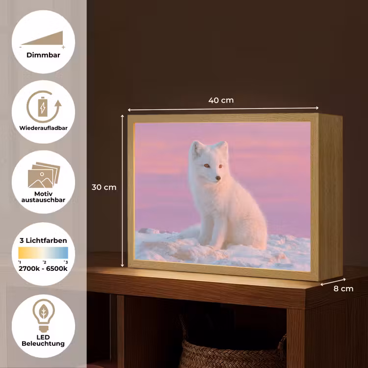 Poolvos - Sneeuw - Roze Light Box met batterij (Wandlamp kind) middel -USP_websiteoverzichtDE