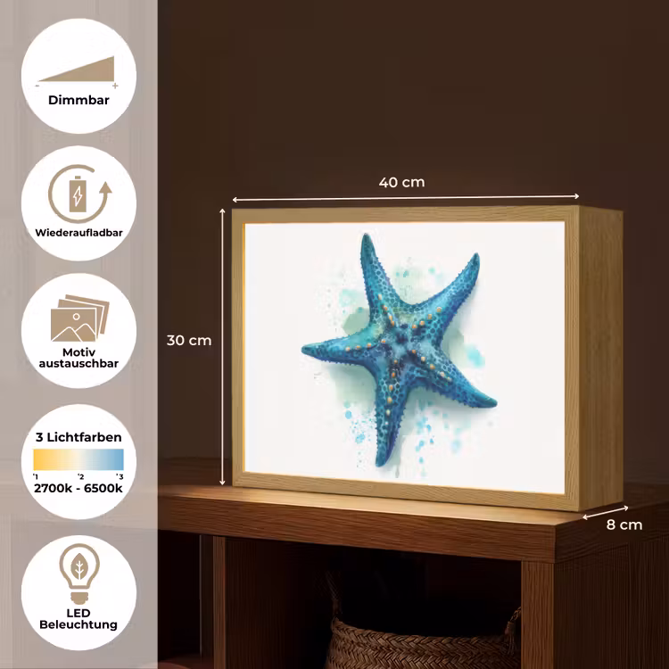 Zeester - Blauw - Spetters Light Box met batterij (Wandlamp kind) middel -USP_websiteoverzichtDE