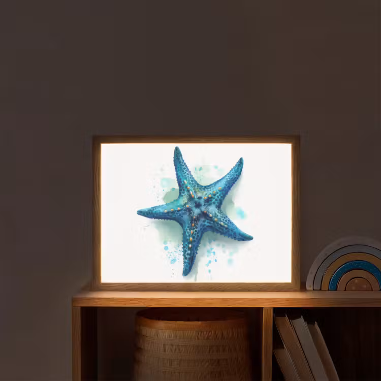 Zeester - Blauw - Spetters Light Box met batterij (Wandlamp kind) middel -sfeer1_kind