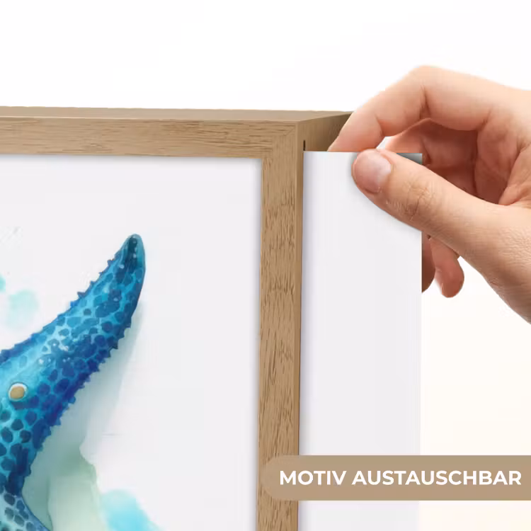 Zeester - Blauw - Spetters Light Box met batterij (Wandlamp kind) middel -USP_websiteprintDE