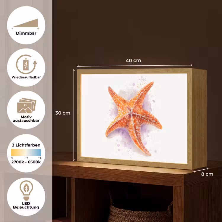 Zeester - Oranje - Paars Light Box met batterij (Wandlamp kind) middel -USP_websiteoverzichtDE