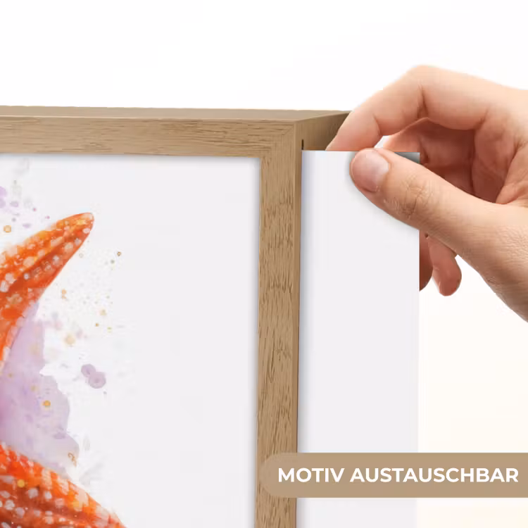 Zeester - Oranje - Paars Light Box met batterij (Wandlamp kind) middel -USP_websiteprintDE