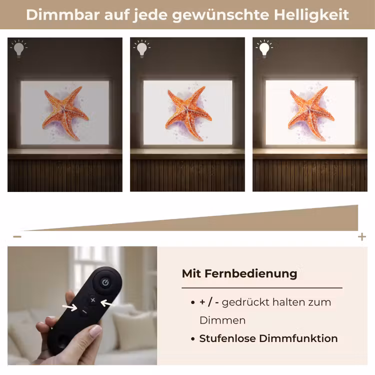 Zeester - Oranje - Paars Light Box met batterij (Wandlamp kind) middel -USP_dimbaarDE