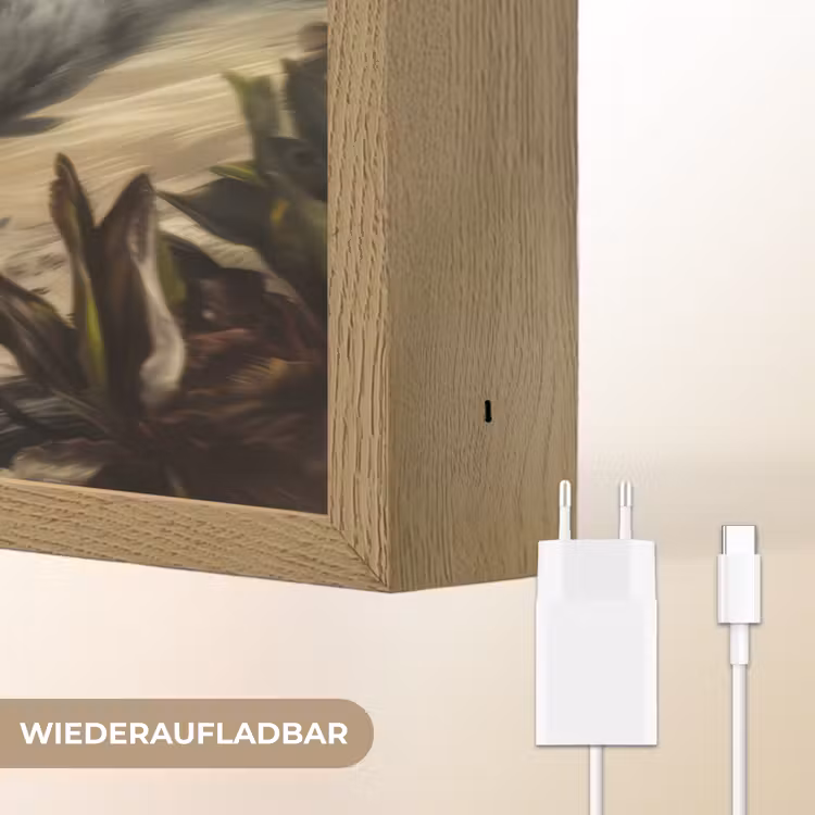 Sportauto - Rood - Dino Light Box met batterij (Wandlamp kind) middel -USP_websiteoplaadbaarDE