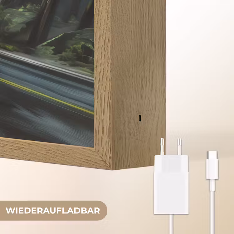 T-Rex - Auto - Regenwoud Light Box met batterij (Wandlamp kind) middel -USP_websiteoplaadbaarDE
