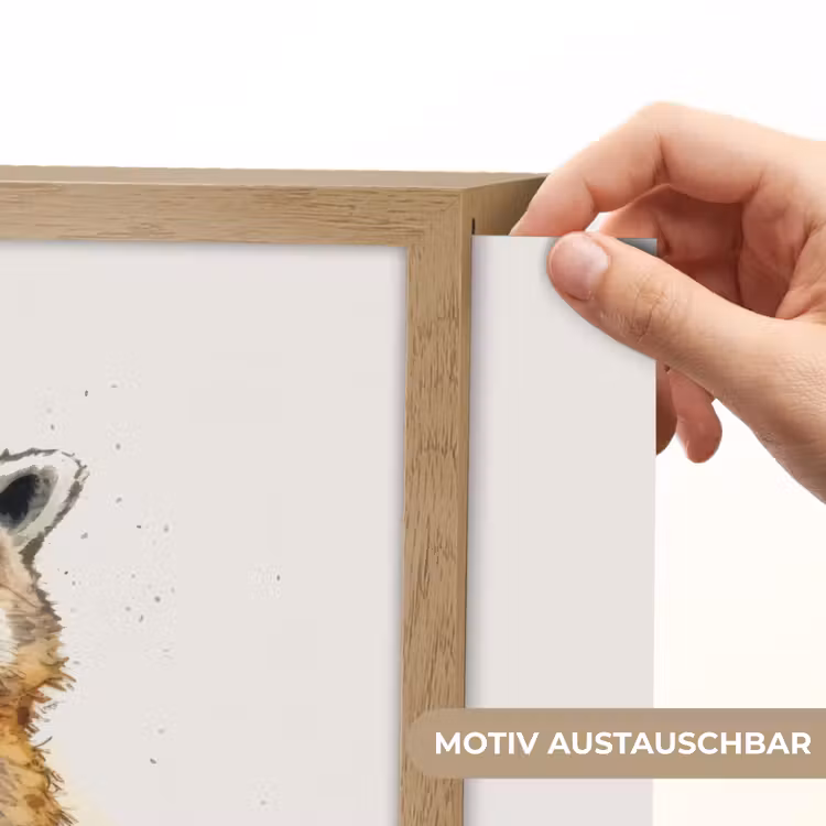 Wasbeer - Waterverf - Kleuren - Dieren - Kids Light Box met batterij (Wandlamp kind) middel -USP_websiteprintDE