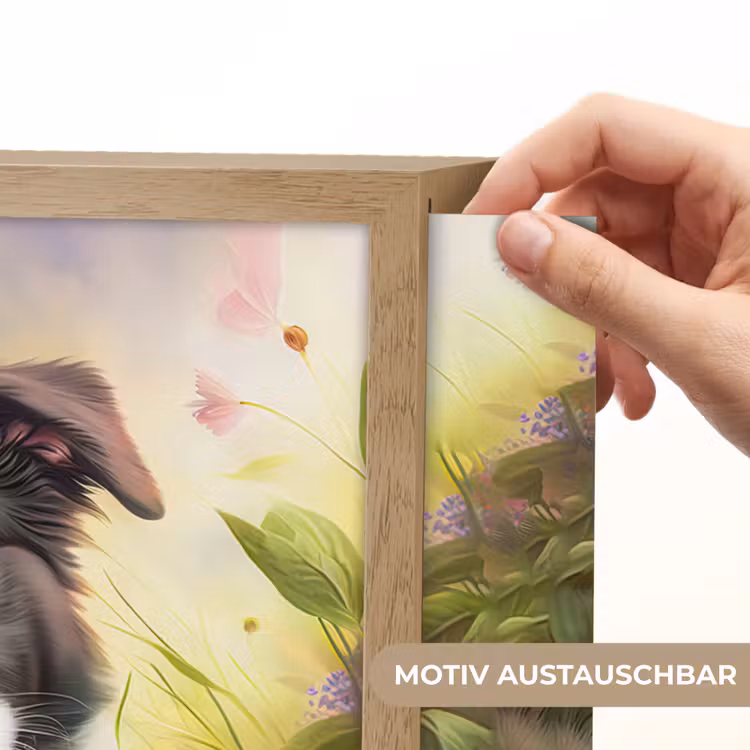 Puppy - Zon - Bloemen - Natuur - Bordercollie - Hond Light Box met batterij (Wandlamp kind) middel -USP_websiteprintDE