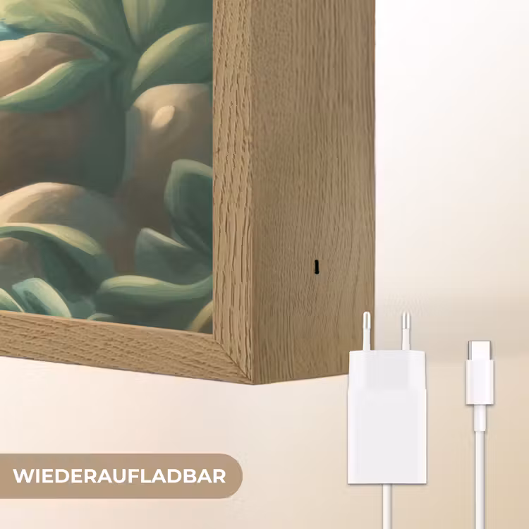 Zebra - Aap - Cartoon - Waterval Light Box met batterij (Wandlamp kind) middel -USP_websiteoplaadbaarDE