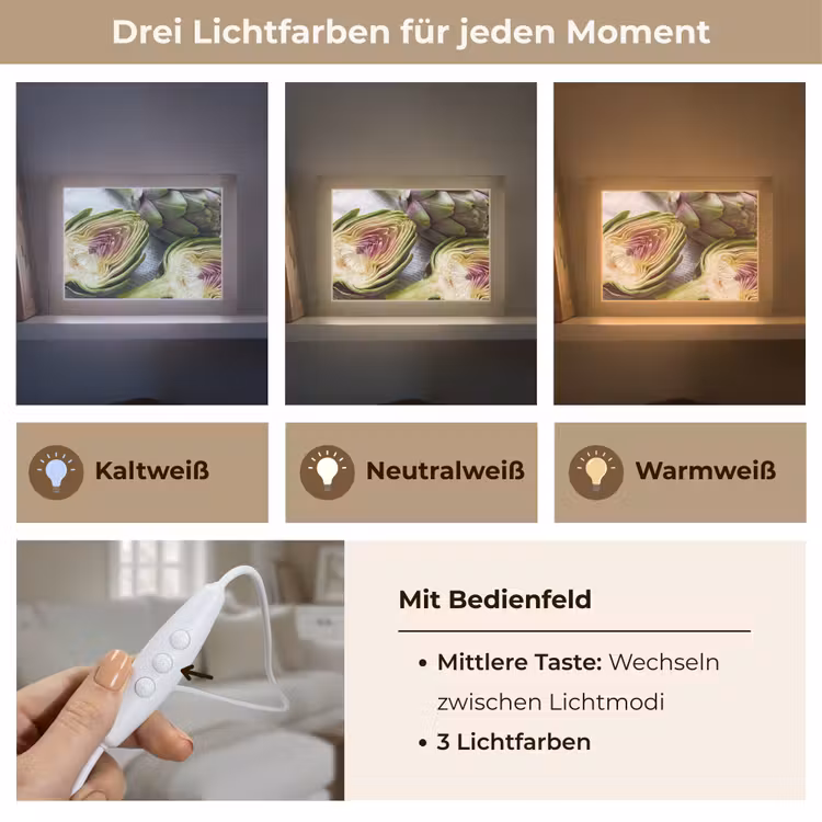 Lightbox - Wandleuchte - Artischocke – aufgeschnitten – Essen - Artisjok - Doorgesneden - Eten Light Box met kabel (Wandlamp) klein