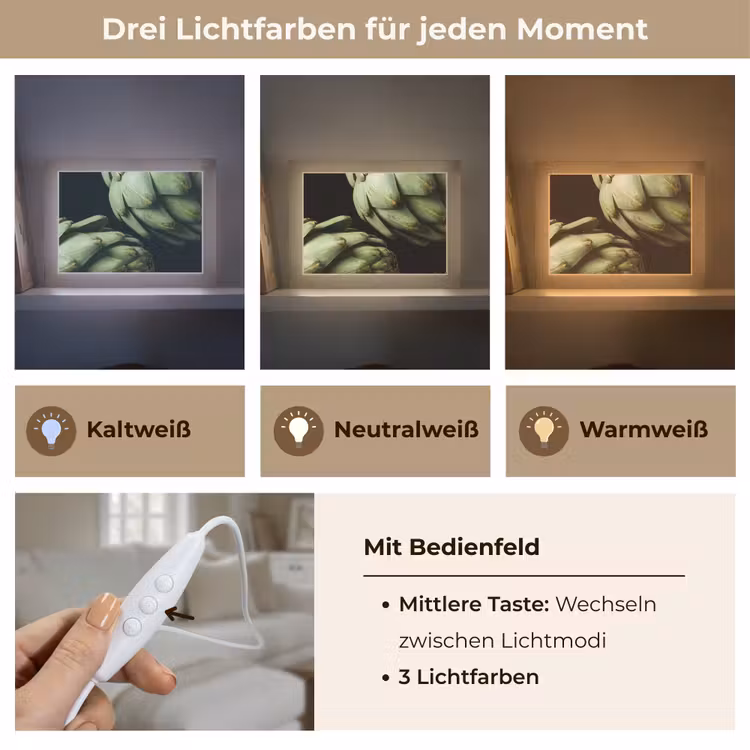 Lightbox - Wandleuchte - Artischocke – Grün – Essen - Artisjok - Groen - Eten Light Box met kabel (Wandlamp) klein