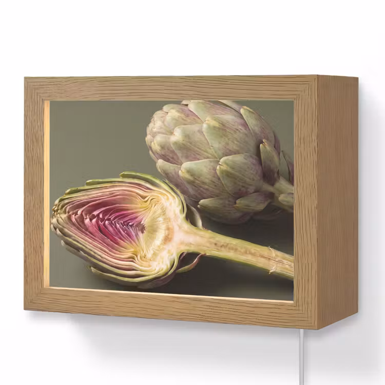 Lightbox - Wandleuchte - Artischocke – Violett – Lebensmittel - Artisjok - Paars - Voedsel Light Box met kabel (Wandlamp) klein