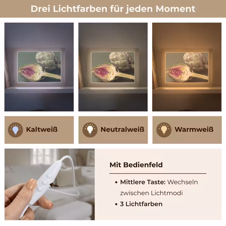 Lightbox - Wandleuchte - Artischocke – Violett – Lebensmittel - Artisjok - Paars - Voedsel Light Box met kabel (Wandlamp) klein
