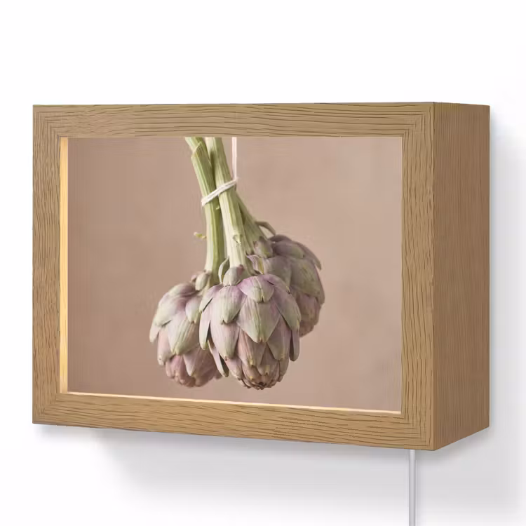 Lightbox - Wandleuchte - Artischocken – Hängend – Gemüse - Artisjokken - Hangend - Groenten Light Box met kabel (Wandlamp) klein