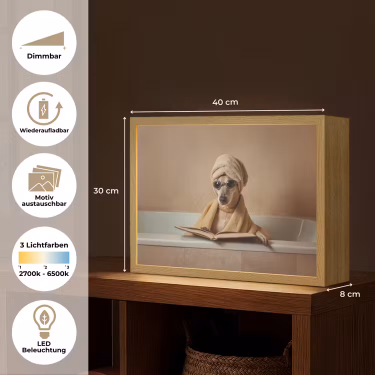 Bad - Hond - Boek - Zonnebril Light Box met batterij (Wandlamp) middel -USP_websiteoverzichtDE