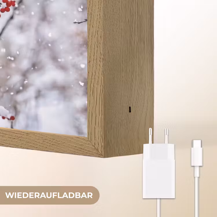 Bessen - Takken - Sneeuw - Winter - Kleurrijk Light Box met batterij (Wandlamp) middel -USP_websiteoplaadbaarDE