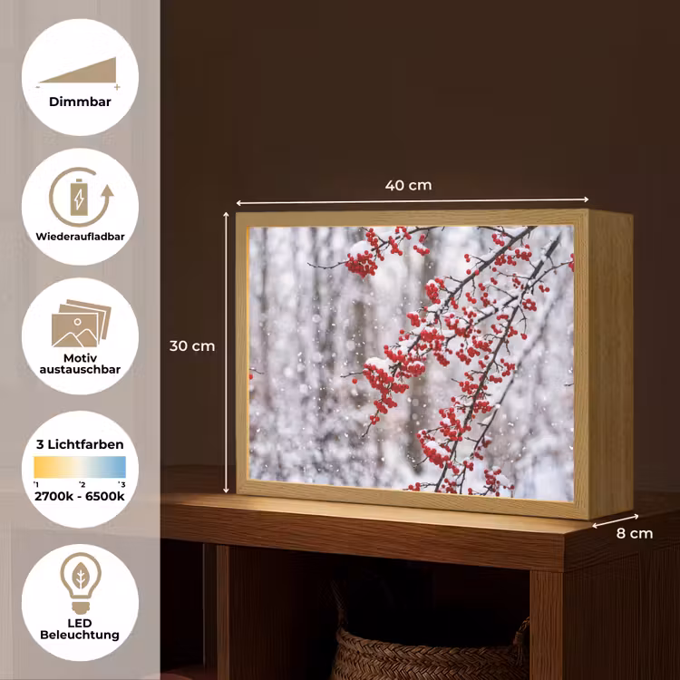 Bessen - Takken - Sneeuw - Winter - Kleurrijk Light Box met batterij (Wandlamp) middel -USP_websiteoverzichtDE