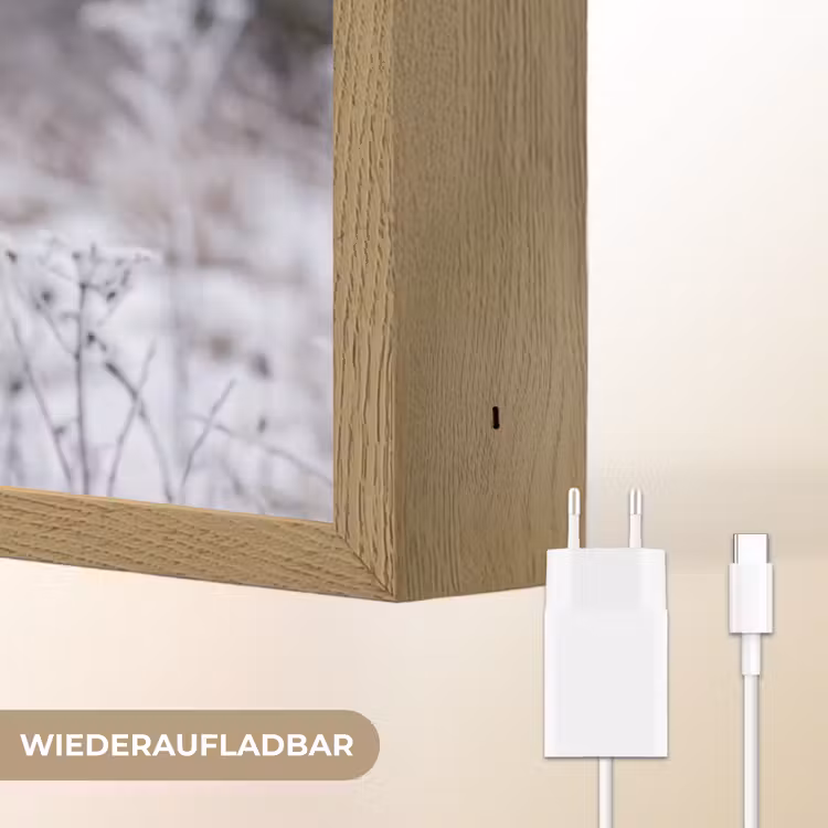 Schermbloem - Rijp - Kristallen - Winter - Delicaat Light Box met batterij (Wandlamp) middel -USP_websiteoplaadbaarDE