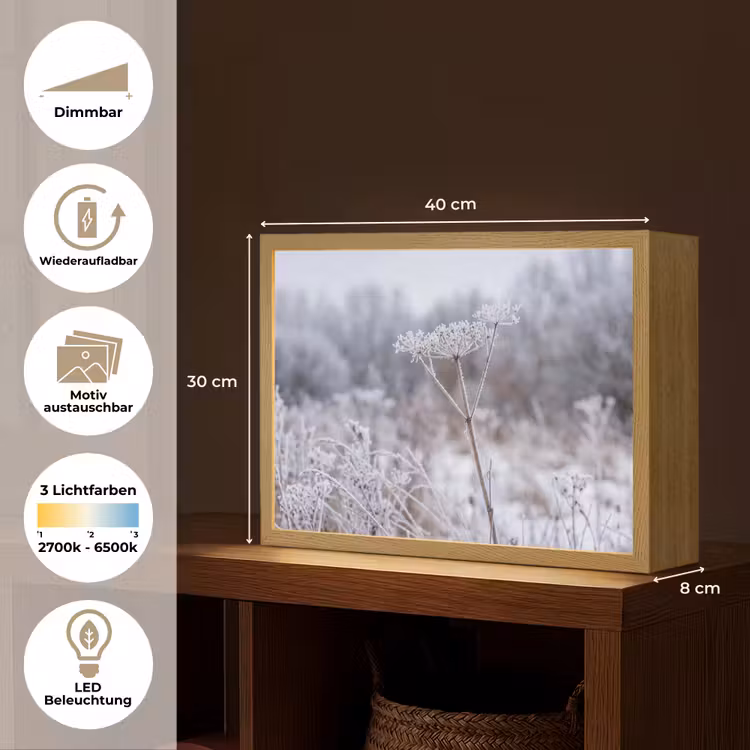 Schermbloem - Rijp - Kristallen - Winter - Delicaat Light Box met batterij (Wandlamp) middel -USP_websiteoverzichtDE
