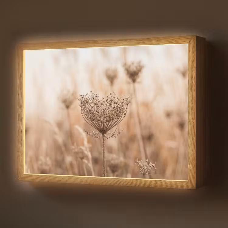 Schermbloem - Droogbloem - Winter - Beige - Minimalistisch Light Box met batterij (Wandlamp) middel -z3d_website