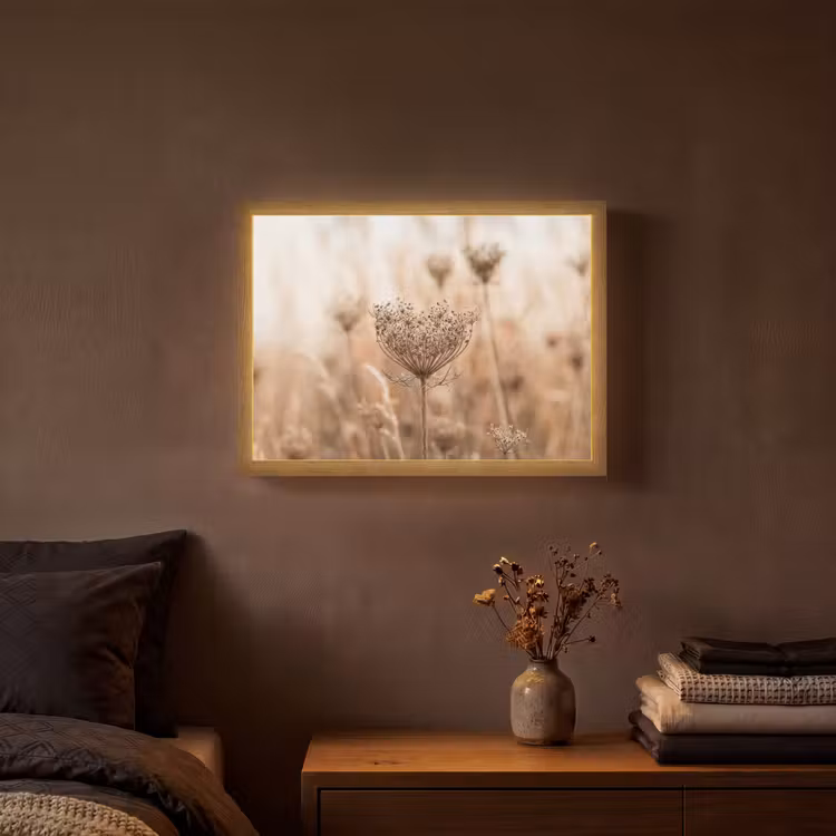 Schermbloem - Droogbloem - Winter - Beige - Minimalistisch Light Box met batterij (Wandlamp) middel -sfeer4