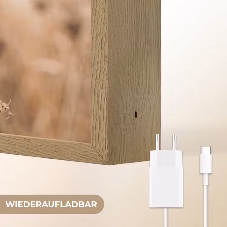 Schermbloem - Droogbloem - Winter - Beige - Minimalistisch Light Box met batterij (Wandlamp) middel -USP_websiteoplaadbaarDE