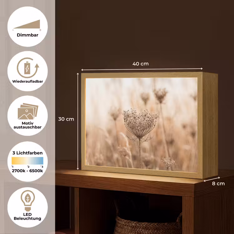 Schermbloem - Droogbloem - Winter - Beige - Minimalistisch Light Box met batterij (Wandlamp) middel -USP_websiteoverzichtDE