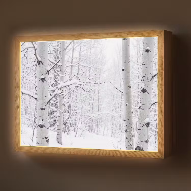Berkenbomen - Sneeuw - Winter - Bos - Wit Light Box met batterij (Wandlamp) middel -z3d_website
