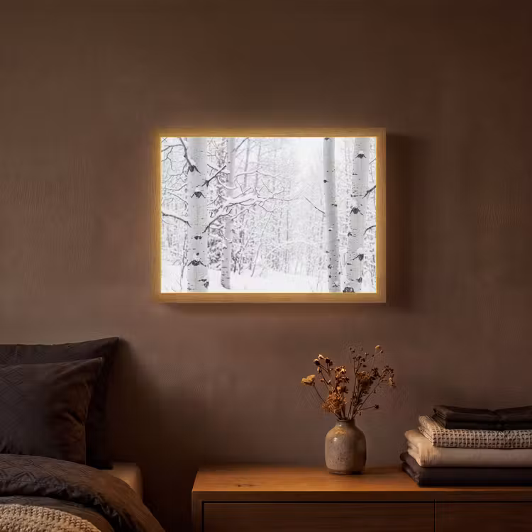 Berkenbomen - Sneeuw - Winter - Bos - Wit Light Box met batterij (Wandlamp) middel -sfeer4