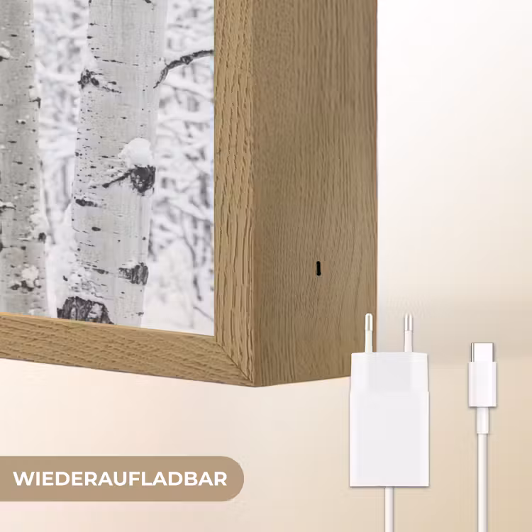 Berkenbomen - Sneeuw - Winter - Bos - Wit Light Box met batterij (Wandlamp) middel -USP_websiteoplaadbaarDE