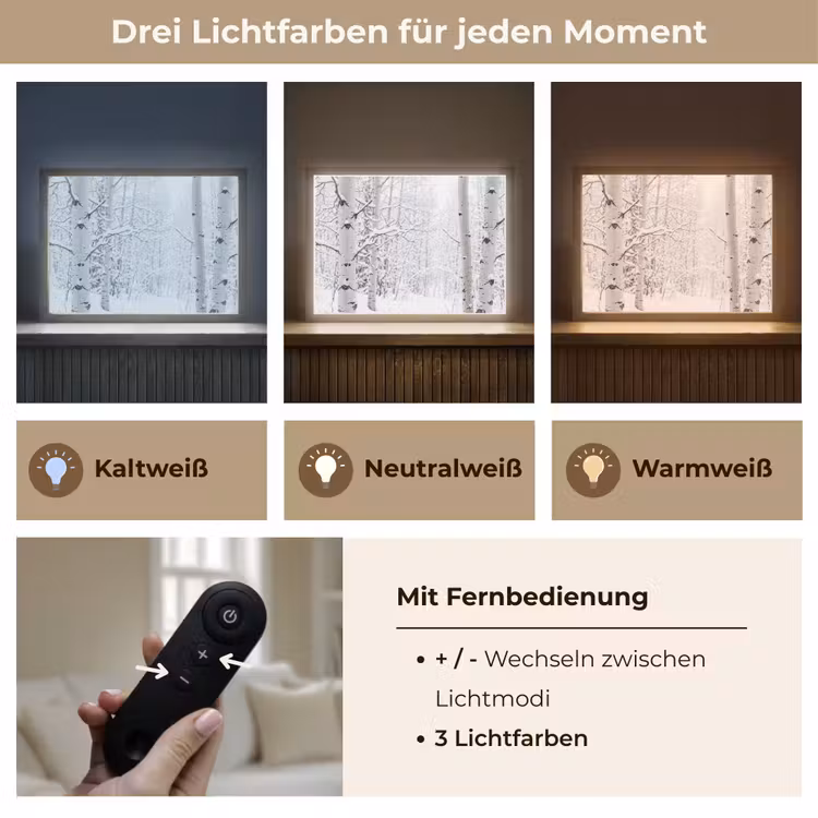 Berkenbomen - Sneeuw - Winter - Bos - Wit Light Box met batterij (Wandlamp) middel -USP_lichtkleurDE