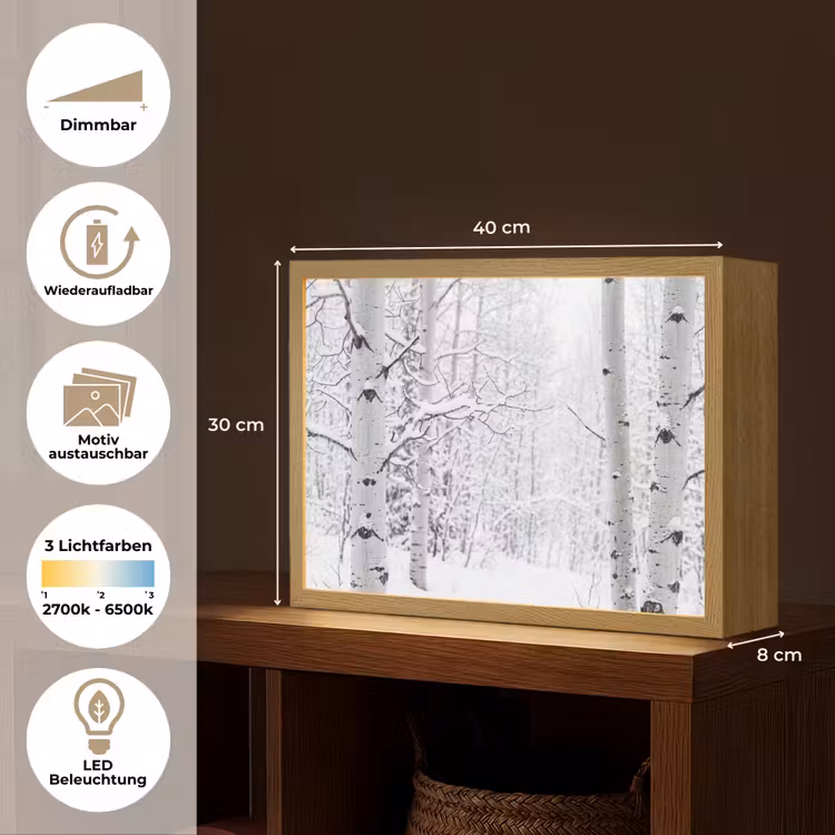 Berkenbomen - Sneeuw - Winter - Bos - Wit Light Box met batterij (Wandlamp) middel -USP_websiteoverzichtDE