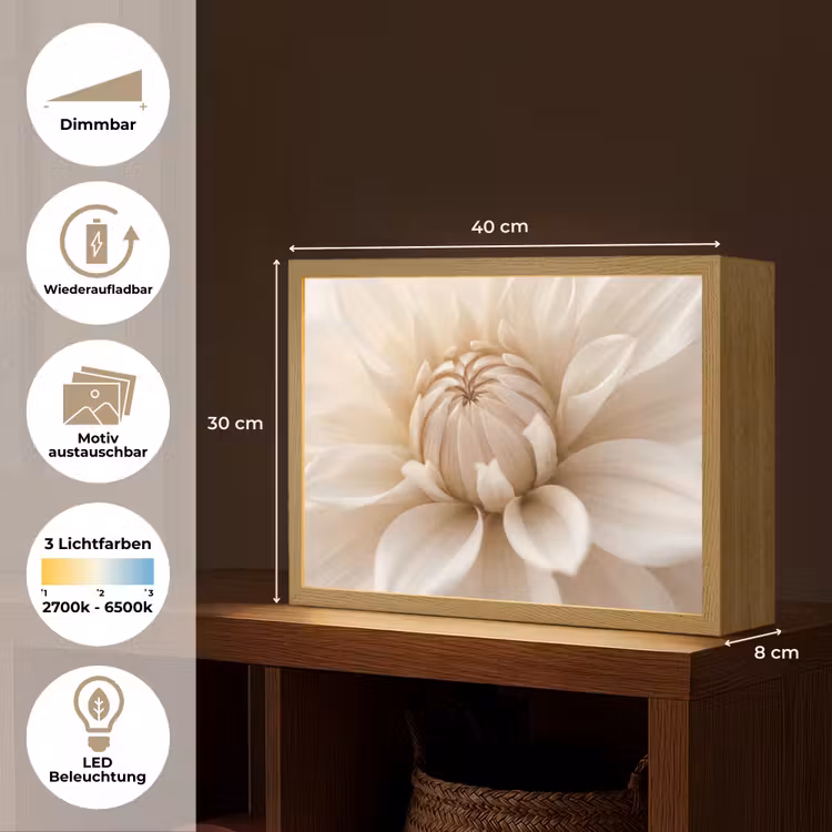 Bloem - Dahlia - Wit Light Box met batterij (Wandlamp) middel -USP_websiteoverzichtDE