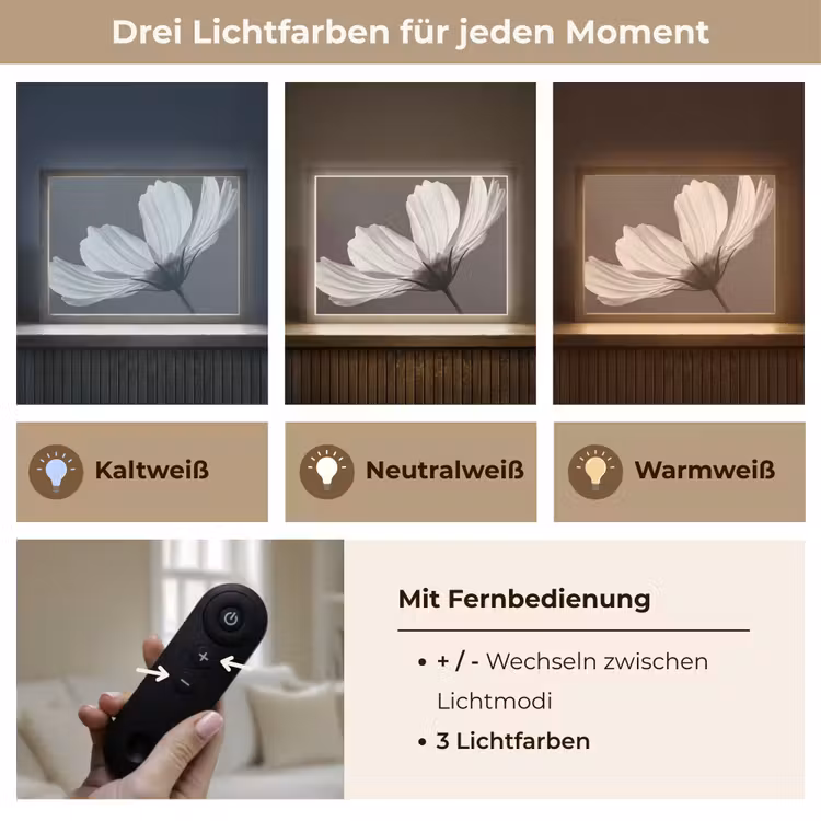 Bloem - Minimalistisch - Zwart - Wit Light Box met batterij (Wandlamp) middel -USP_lichtkleurDE