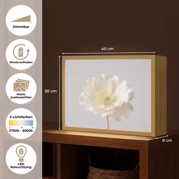Bloem - Minimalistisch -Wit Light Box met batterij (Wandlamp) middel -USP_websiteoverzichtDE