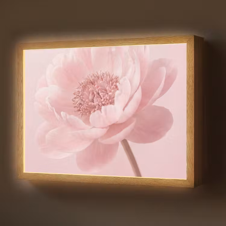Bloem - Pioenroos - Roze Light Box met batterij (Wandlamp) middel -z3d_website