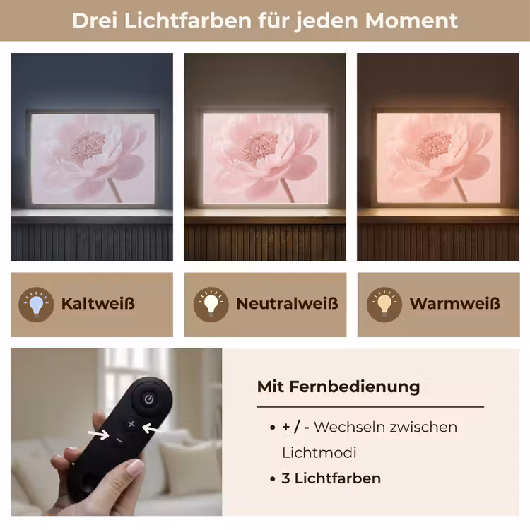 Bloem - Pioenroos - Roze Light Box met batterij (Wandlamp) middel -USP_lichtkleurDE