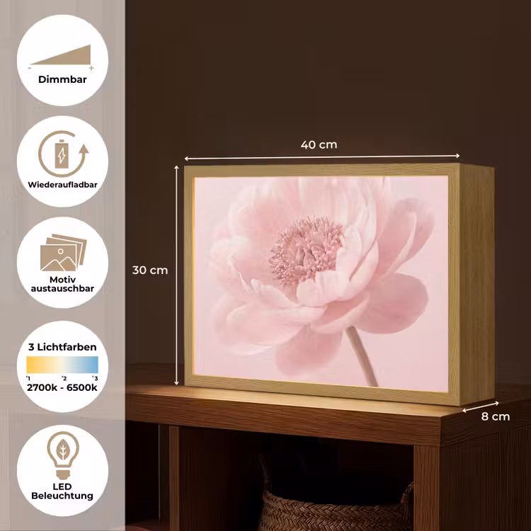 Bloem - Pioenroos - Roze Light Box met batterij (Wandlamp) middel -USP_websiteoverzichtDE