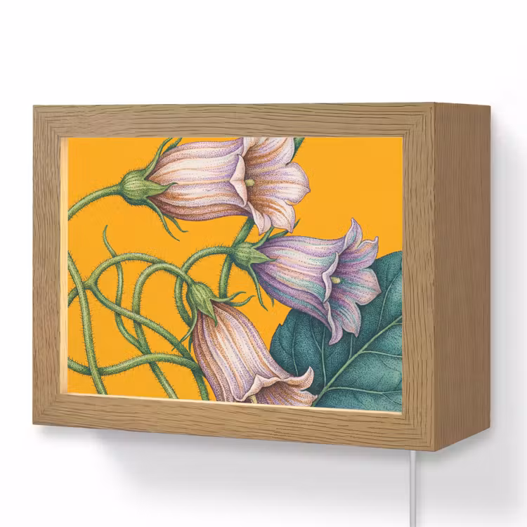 Lightbox - Wandleuchte - Blumen – Botanik – Gelb - Bloemen - Botanisch - Geel Light Box met kabel (Wandlamp) klein