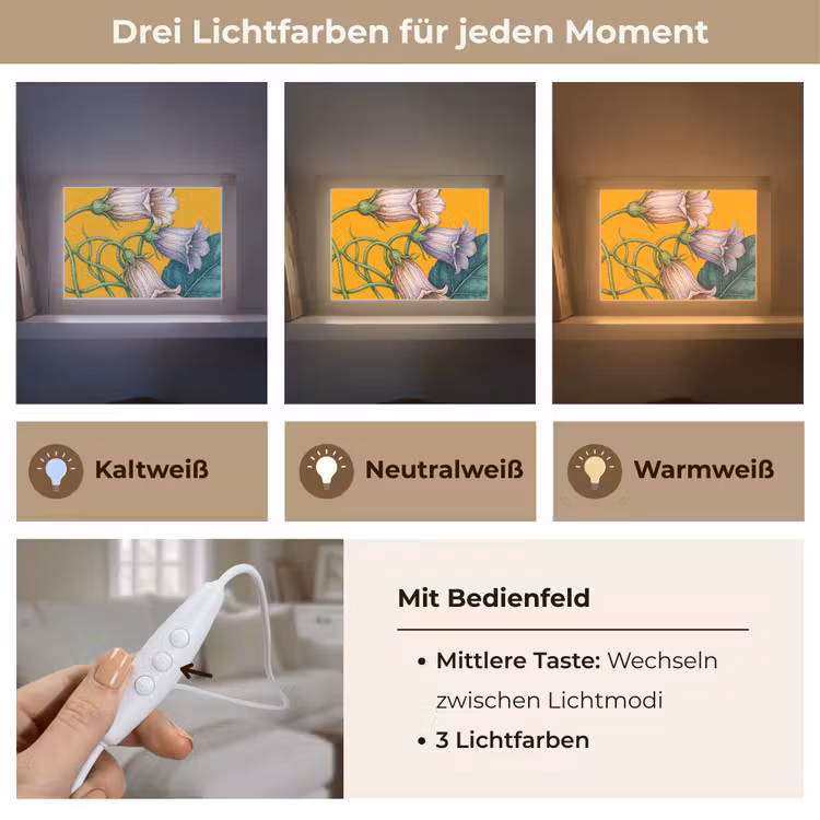Lightbox - Wandleuchte - Blumen – Botanik – Gelb - Bloemen - Botanisch - Geel Light Box met kabel (Wandlamp) klein